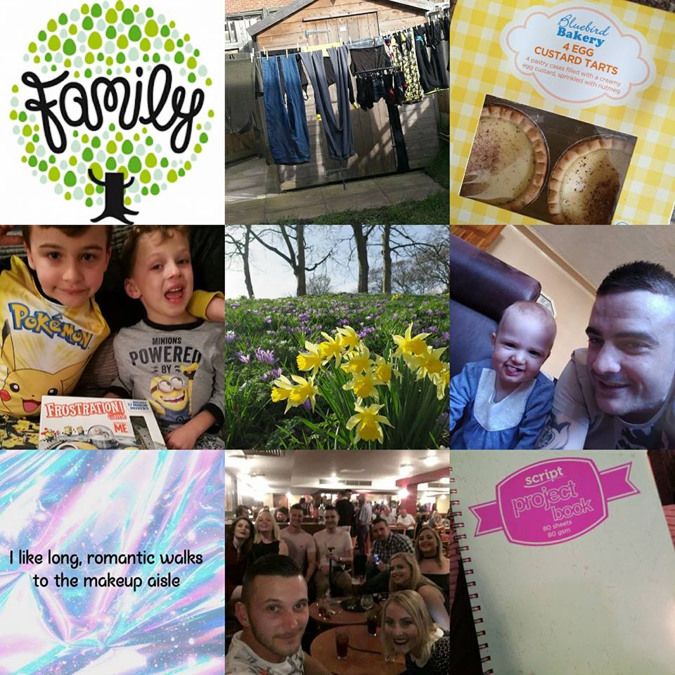 17424924_192701321221332_3798413464504709246_n