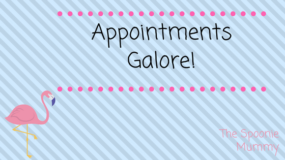 Appointments Galore!