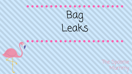 Bag Leaks