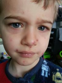 558779_10152773027410112_1732253895_n