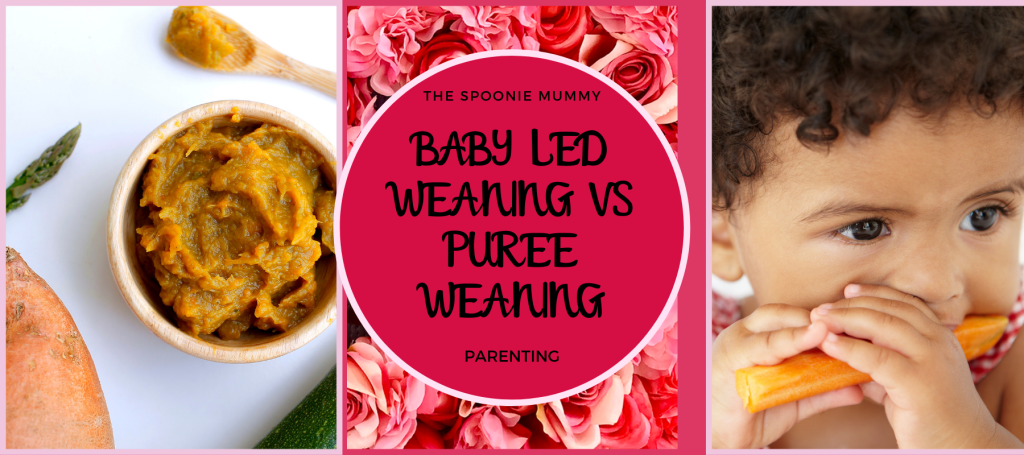 Baby Led Weaning VS Puree Weaning