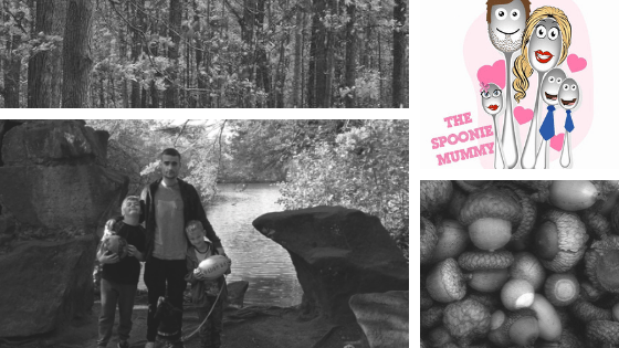 Autumn Activities For Kids